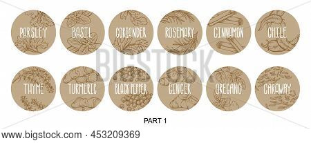 Vector Set Of Stickers For Spices.  Basil, Parsley, Coriander, Rosemary, Cinnamon, Chili, Pepper, Th
