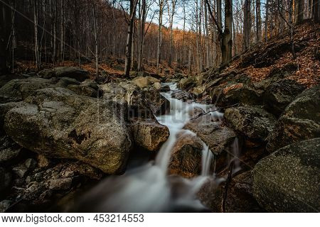 Czech Natural Reserve Called Jizerskohorske Buciny,jizera Mountain Beechwood, On Unesco List.unique 