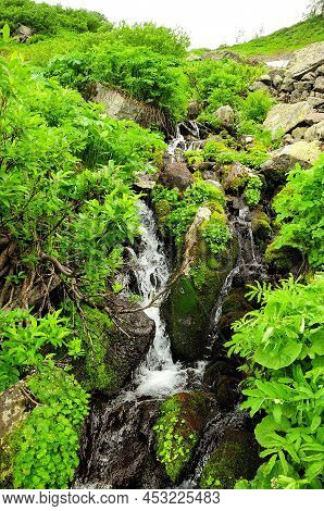A Small Waterfall Flowing Down A Hill Through Thickets Of Bushes On A Rocky Slope.