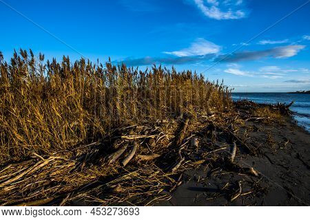 Bricole And Palisades For A Mussel Farm At The Mouth Of The Po River Delta
