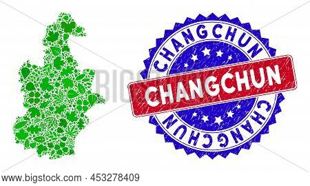 Ecology Tianjin City Map Collage Of Herbal Leaves In Green Color Tones With Grunge Bicolor Changchun