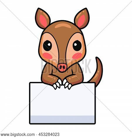 Vector Illustration Of Cute Little Aardvark Cartoon With Blank Sign