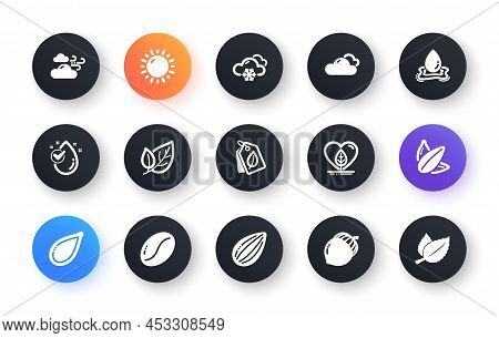 Minimal Set Of Cloudy Weather, Sunny Weather And Acorn Flat Icons For Web Development. Coffee Beans,