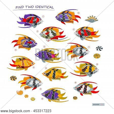 Logic Puzzle Game For Children And Adults. Find Two Identical Fishes. Page For Kids Brain Teaser Boo