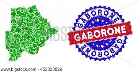 Ecology Botswana Map Composition Of Herbal Leaves In Green Color Variations And Grunge Bicolor Gabor