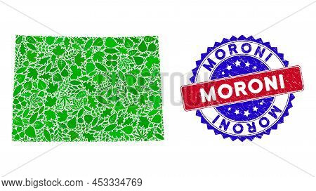 Ecology Colorado State Map Collage Of Herbal Leaves In Green Color Shades And Grunge Bicolor Moroni 