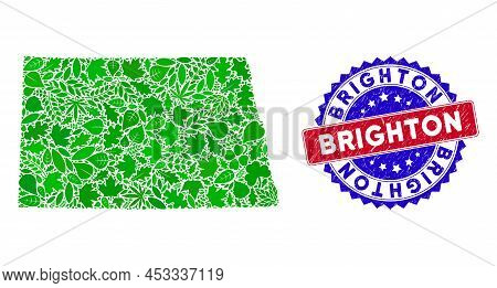 Eco North Dakota State Map Composition Of Herbal Leaves In Green Color Variations With Grunge Bicolo
