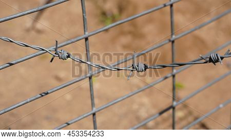 Barbed Wire. Part Of Guarding Farm Fence. A Close Up Of A Barbed Wire Fence At A Cattle Farm, Protec