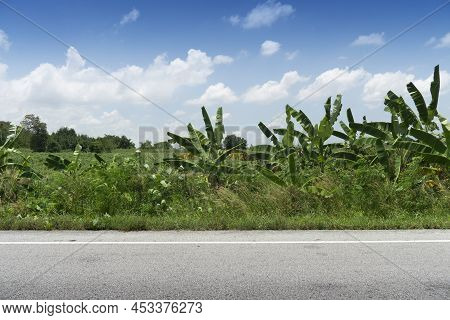 Horizontal View Of Asphalt Road In Thailand. Front Ground Of Green Grass. Wind That Swept The Banana