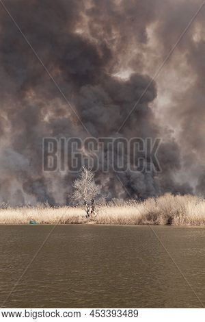 Large Fire On Banks Of River In Astrakhan Region. Russia. Spring, April. Black Dense Smoke And Ash F