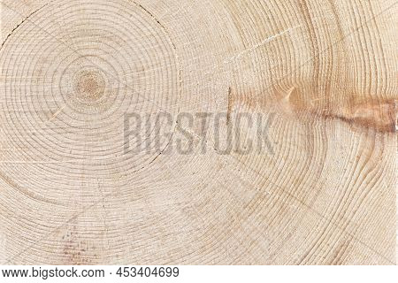 Natural Wood Background Of Tree Trunk Cut With Circles Of Natural Ornament And Cracks. Lumber, Natur