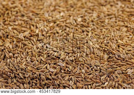Dry Rolls Dill - Anethum Graveolens - Seeds On Flat Surface, Closeup Background With Selective Focus