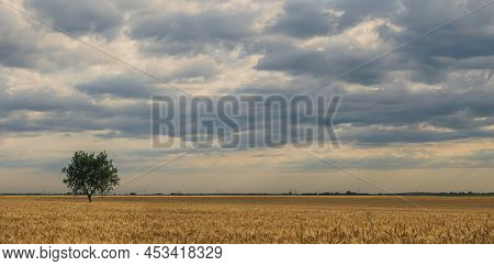 Golden Summer Landscape, Wheat Farm Field With Blue Sky And Cloudscape