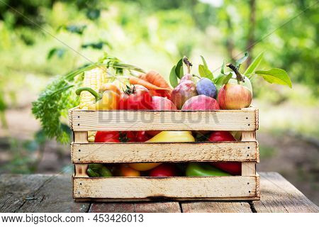 Fresh Organic Vegetables And Fruit In Wooden Crate. Healthy Food On Garden Background