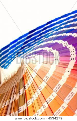 Ccolor 가이드