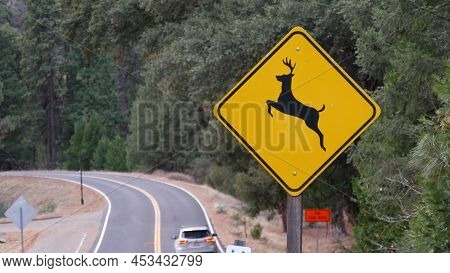 Deer Crossing Warning Yellow Sign, California Usa. Wild Animals Xing Traffic Signage For Safety Driv