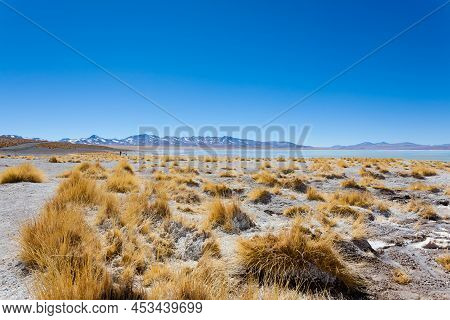 Bolivian Lagoon Landscape,bolivia