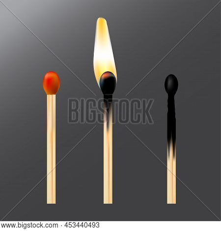 3d Whole Burnt Match. Transparent Background. Vector Illustration. Stock Image.
