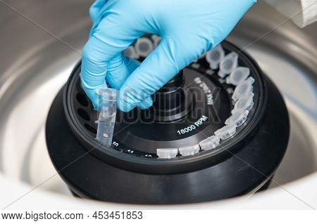 Scientist Puts Microcentrifuge Tubes Into Centrifuge For Phase Separation. Metabolomic And Lipidomic