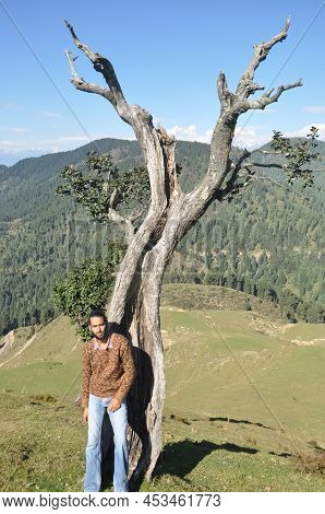 Full Length Of A Stylish Indian Young Man Looking At Camera While Posing With Leaning Against Tree I
