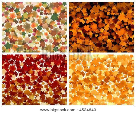 Autumn Leaves