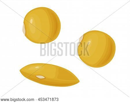 Yellow Lentil. Beans Icon. Vector Illustration Of Legumes In Cartoon Flat Style.