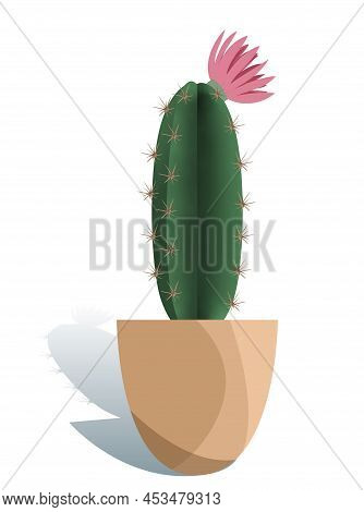 Potted Houseplant Echinopsis Vector Illustration. Succulent In Flat Modern Style. Isolated On White 