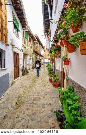 Narrow Alley Full Of Pots With Plants And Flowers On The Walls, Hervas, Caceres.