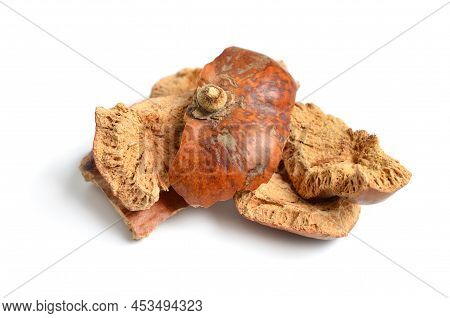 Dried Peels Of Hyphaene Thebaica, Doum Palm Or Gingerbread Tree Also Doom Palm. Isolated