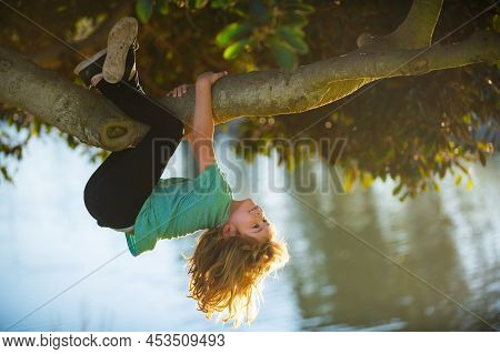 Little Child Boy Trying To Climb A Tree. Kids Climbing A Tree. Happy Boy Enjoying Summer Day In A Ga