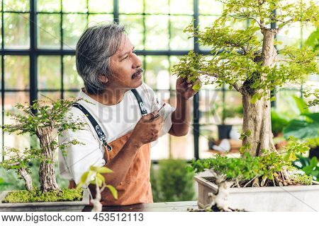 Happy Gardener Asian Senior Old Eldery Man Looking At Young Plant Watering And Gardening With Potted