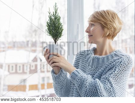 A Woman Holds In Her Hands A Small Fur-tree Growing In A Cup, Standing By The Window