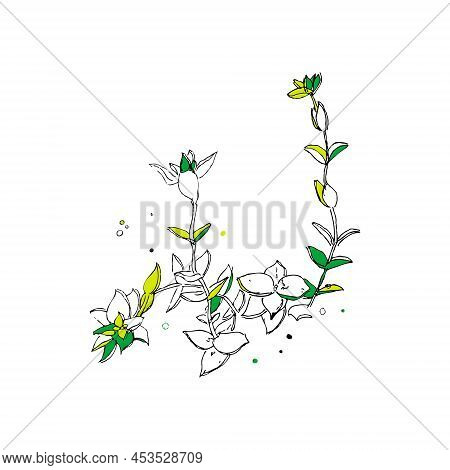 Doodle Crassula Perforata Exotic Succulent Plant. Perfect For T-shirt, Poster, Card And Print. Hand 