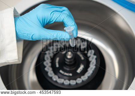 Scientist Puts Microcentrifuge Tubes Into Centrifuge For Phase Separation. Clinical Analysis Of Onco