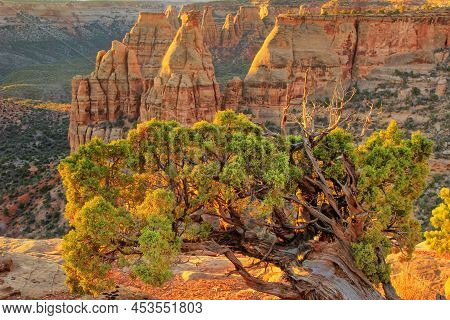 Grand View Overlook In Colorado National Monument, Grand Junction, Usa