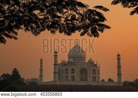 View Of Taj Mahal Framed By A Tree Crown At Sunset, Agra, Uttar Pradesh, India. Taj Mahal Was Design