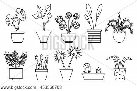 Cactus, Sansevieria, Monstera, Fern, Hanging Flower. Houseplants In Line Contour Flower Pots Set. Ur