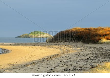 Deniz cehri üzerinde Dunes, Yellowcraig Beach Firth Of Forth Doğu Lothian İskoçya seyir yedekte