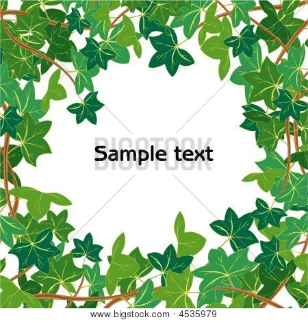Ivy ramme