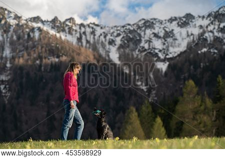 Beautiful Black Labrador Retriever Sitting In Front Of Her Owner With A Retreivers Dummy In Her Mout