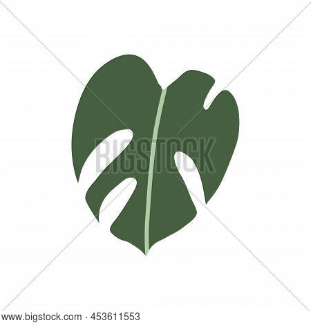 Colorful Hand Drawn Flat Houseplant Isolated On White Background