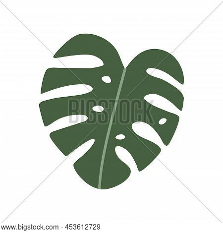 Colorful Hand Drawn Flat Houseplant Isolated On White Background