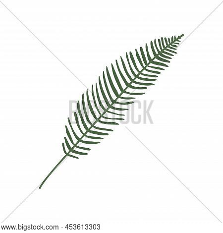 Colorful Hand Drawn Flat Houseplant Isolated On White Background