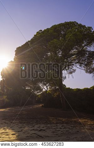 Donana National Park In Spain A Unesco World Heritage Site
