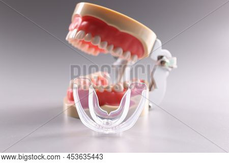 Close-up Of Tooth Model And Aligner Teeth Orthodontic Dental Model Or Human Jaw. Model For Education