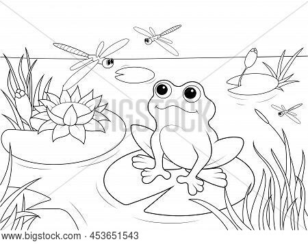 Wetland Landscape With Animals Coloring Book For Adults Vector Illustration. Black And White Lines I