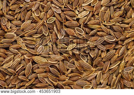 Dry Rolls Dill - Anethum Graveolens - Seeds On Flat Surface, Flat Macro Texture And Full-frame Backg