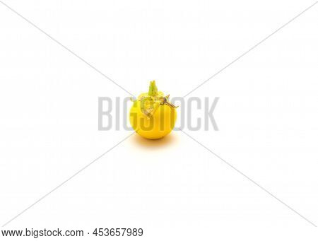 One Over Ripen Yellow Small Round Eggplant For Heirloom Seed Saving Isolated On White Background