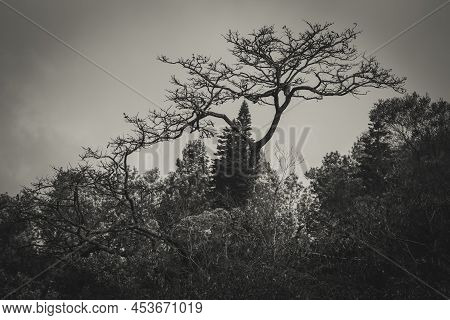 Beautiful View Of The Landscape Along The Shevaroy Hills, Yercaud, India