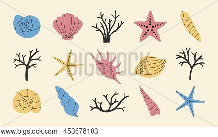 Set Of Various Simple Sea Shells, Starfish And Corals. Vector Illustration.